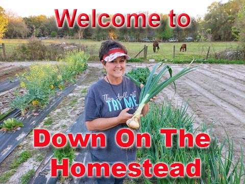 The Homestead Channel